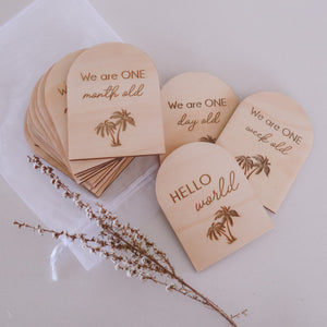 Twin Baby Milestone Discs- Palm Trees